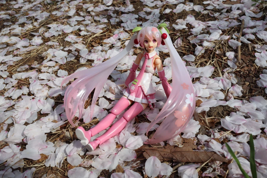 사진이 안이뻐서 보정프로그램이라는거 처음 써봄._1.webp