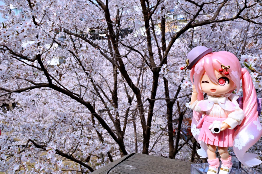 사진이 안이뻐서 보정프로그램이라는거 처음 써봄._6.webp