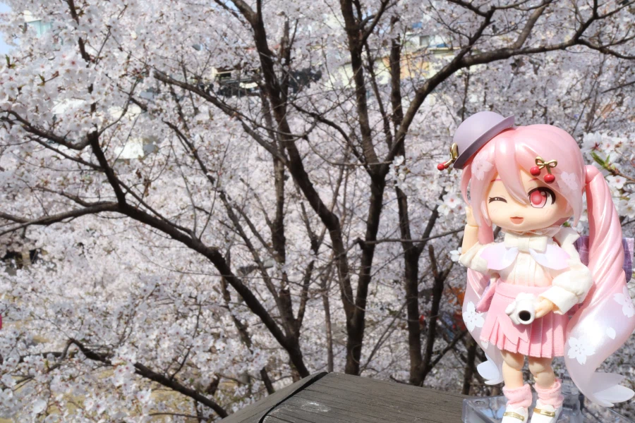 사진이 안이뻐서 보정프로그램이라는거 처음 써봄._5.webp