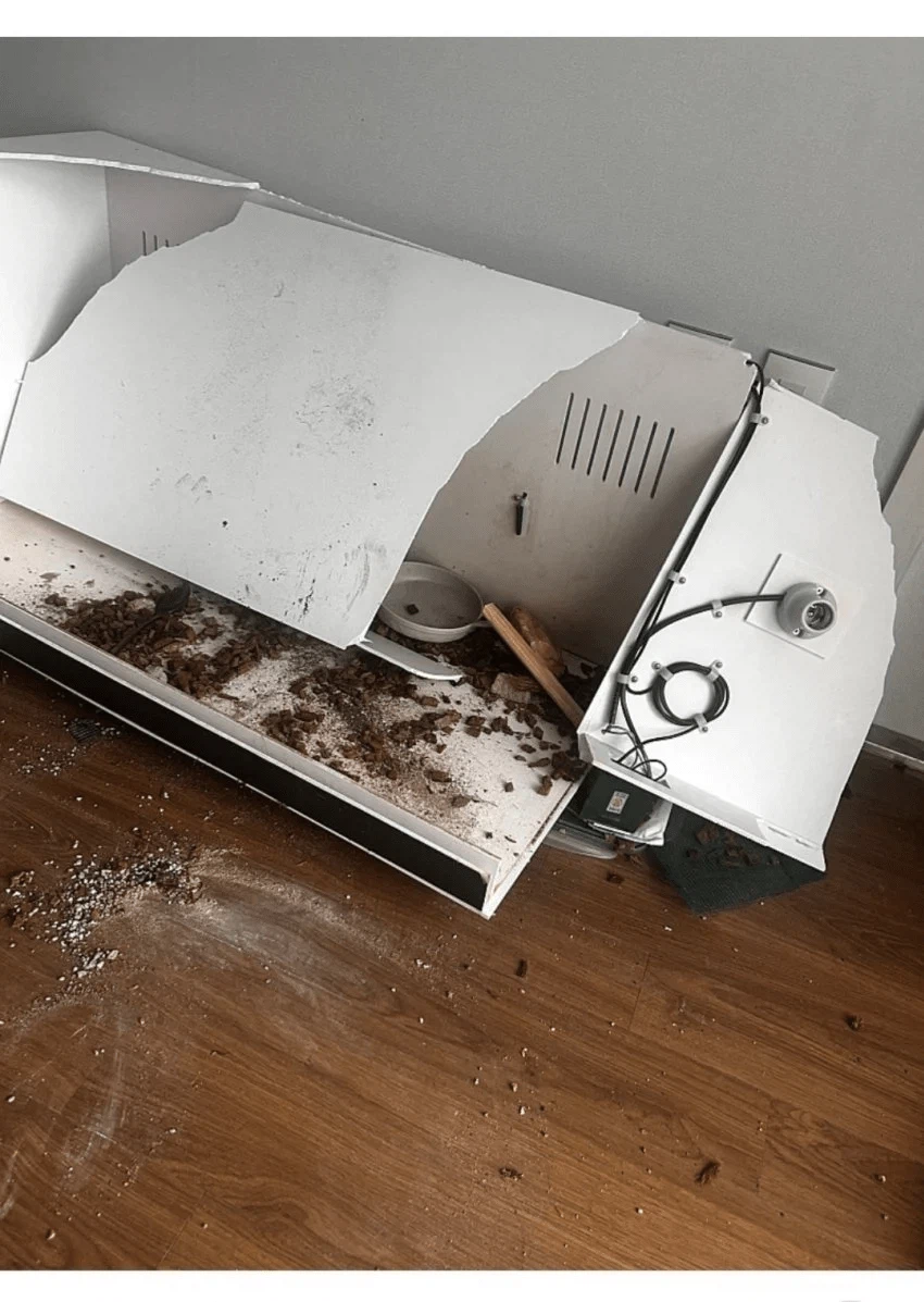 도마뱀 분양글을 올린 중학생.jpg_1.webp