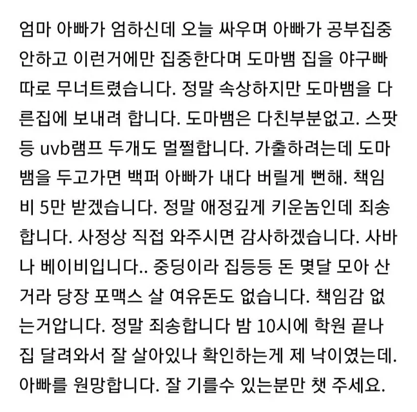 도마뱀 분양글을 올린 중학생.jpg_2.webp