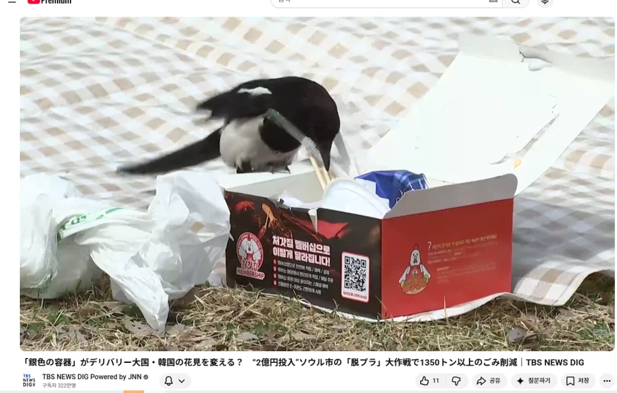 일본뉴스에 한국 벚꽃놀이 뉴스 나오길래 보는데_1.webp