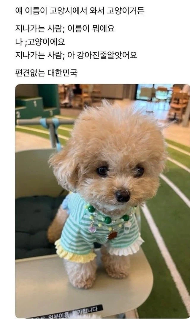 편견 없는 대한민국.jpg_1.webp