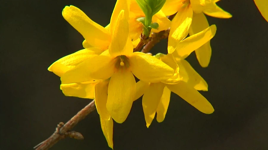 중학생이 복통으로 보건실 간 이유_1.webp