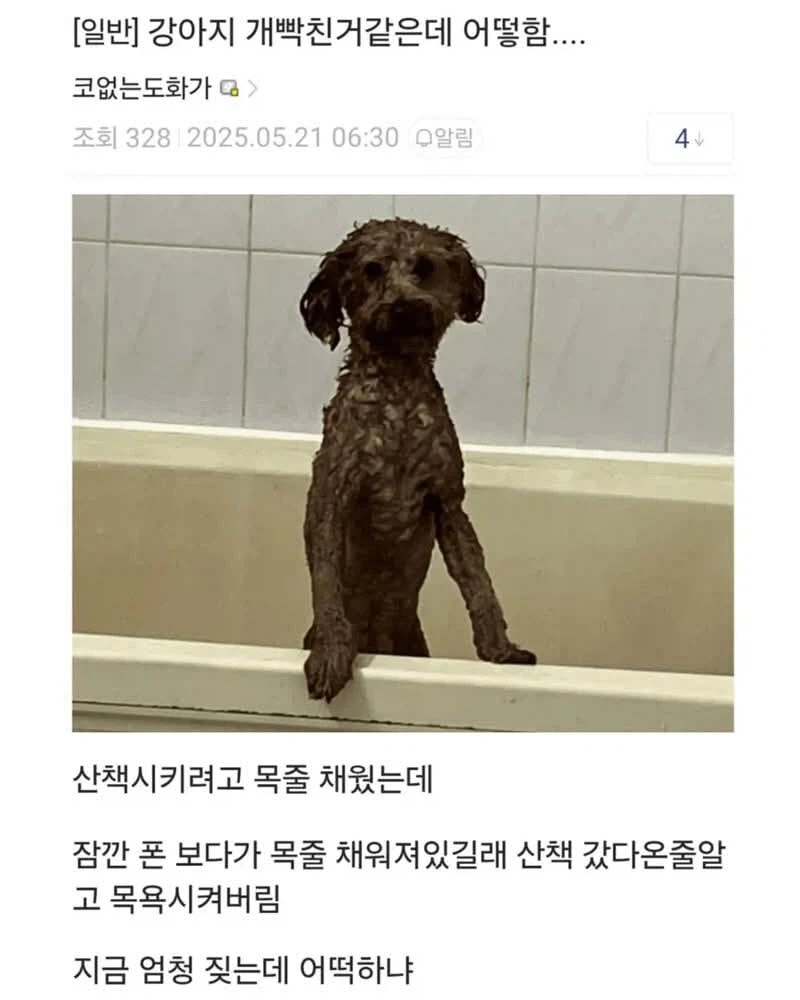 개화남_1.webp