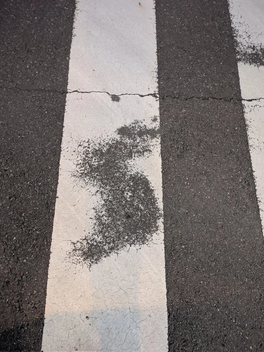 길 건너다가 울면서 애국가 불렀다_1.webp