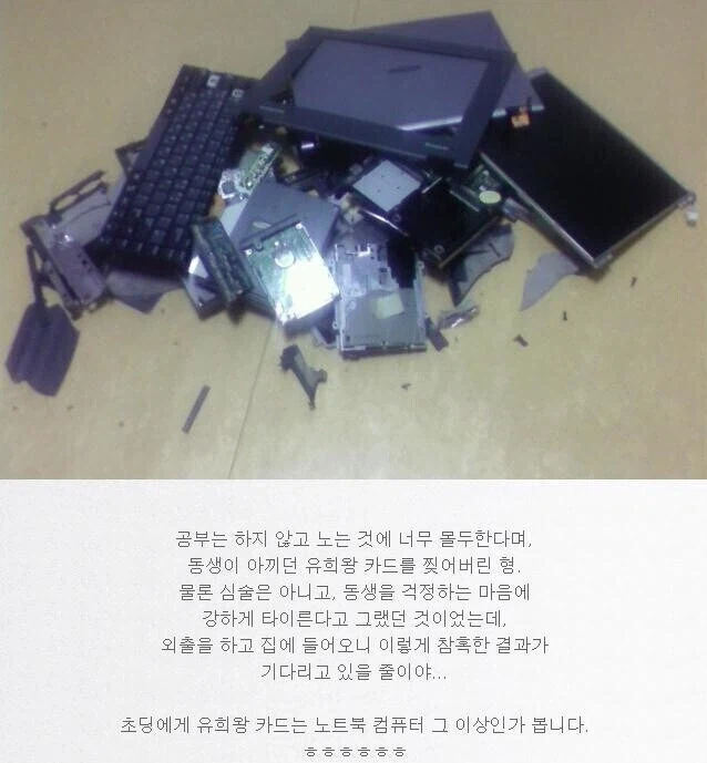 동생이 아끼는 유희왕 카드를 찢었더니_1.webp