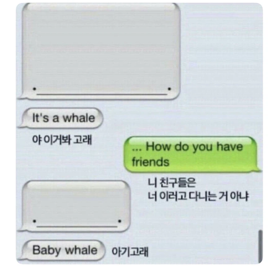 이거봐 고래_1.webp