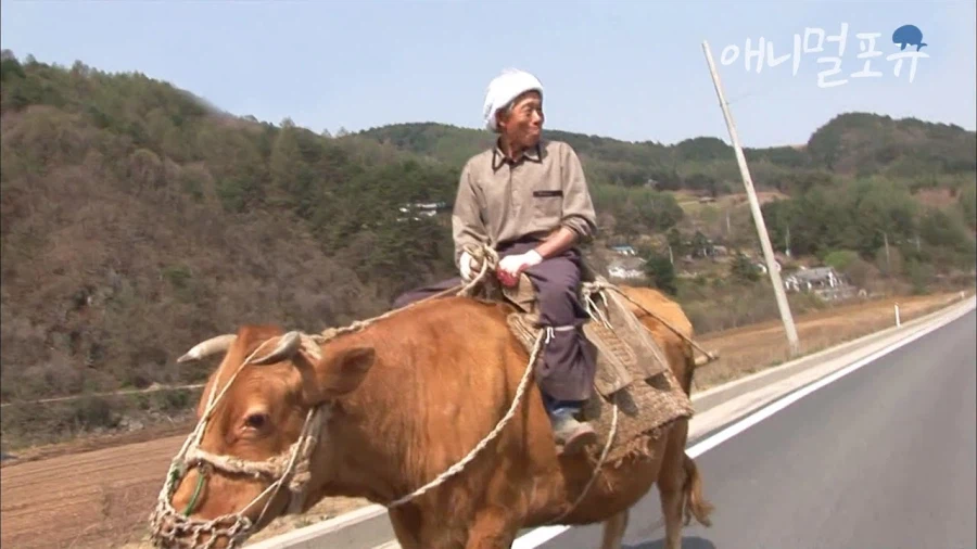 의외로 술먹고 타도 음주운전에 해당하지 않는것_1.webp