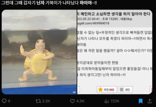 닌자 하이야~_2.webp