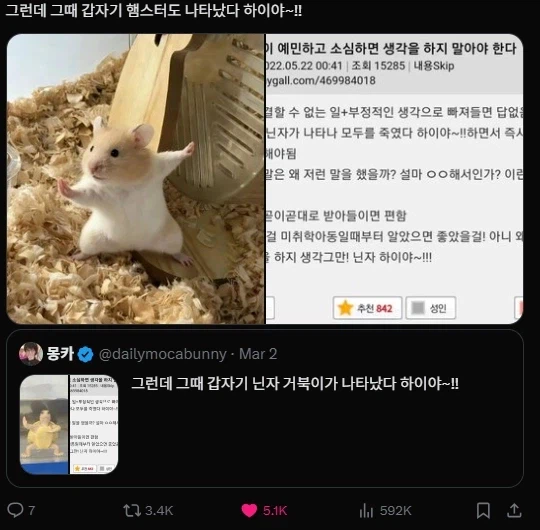 닌자 하이야~_3.webp