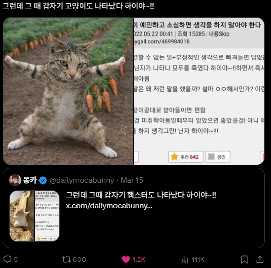 닌자 하이야~_4.webp