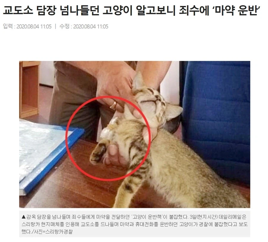 카짓이 배척 받는 이유.jpg_1.webp