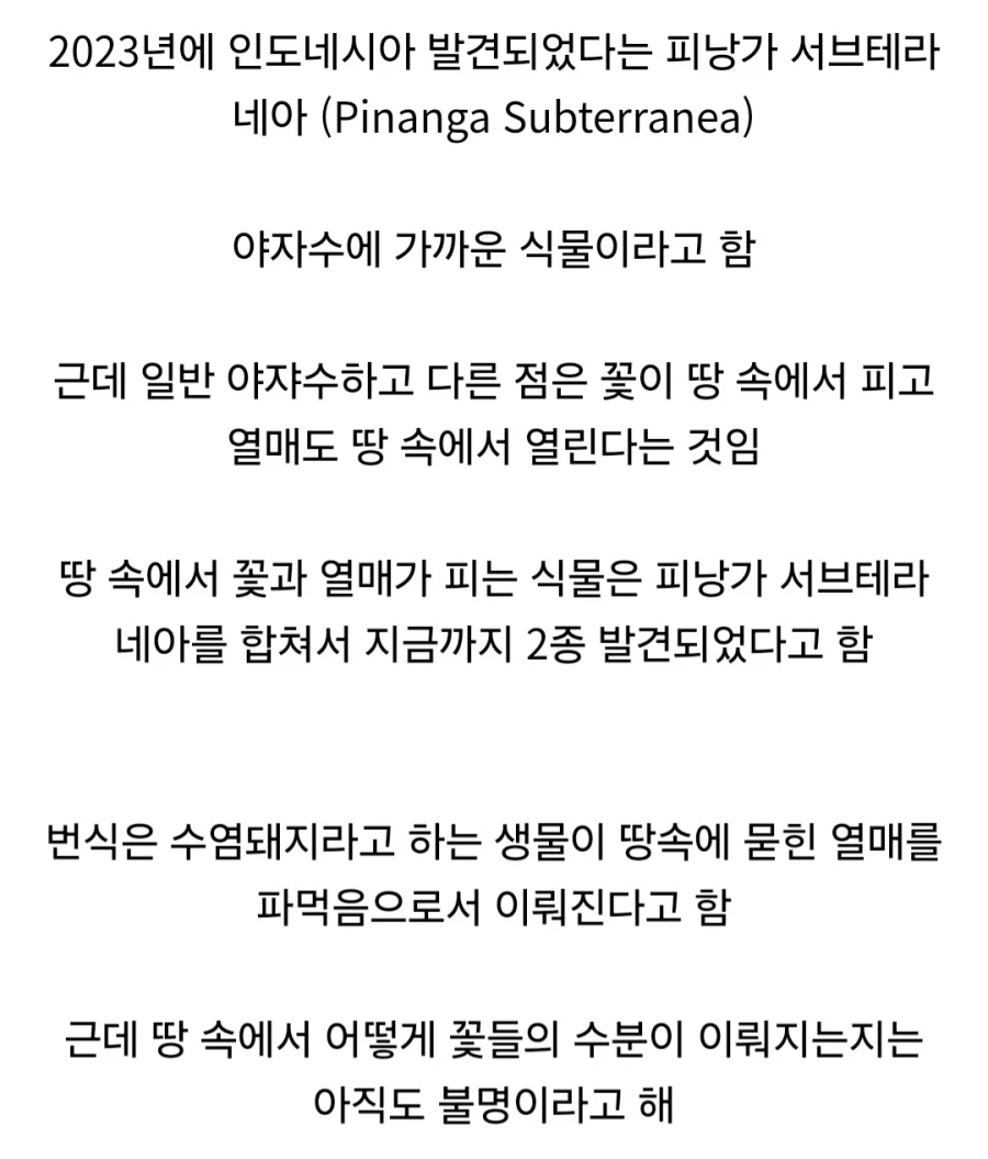 땅 속에서 꽃과 열매가 열린다는 신비한 식물 jpg._2.webp