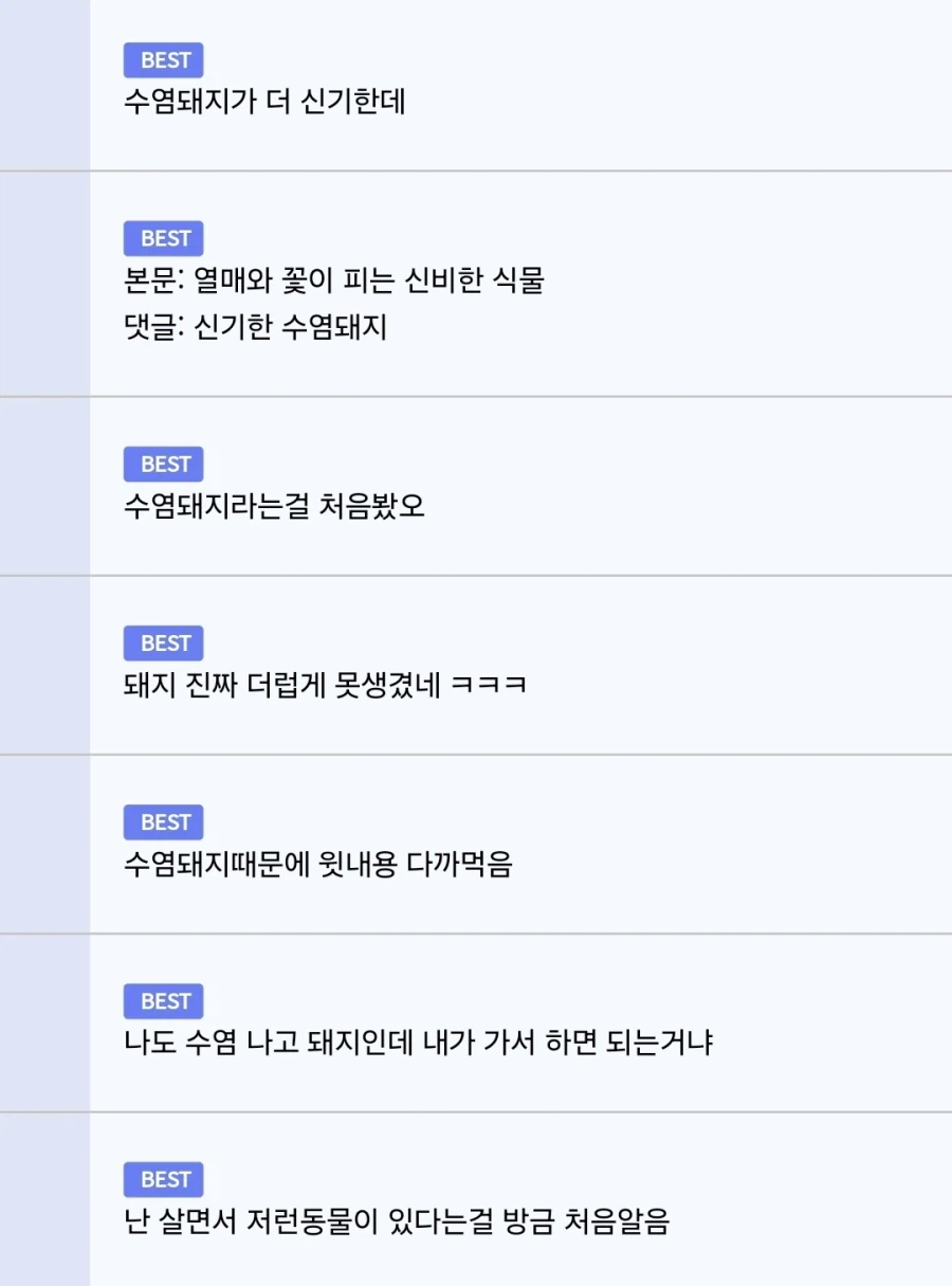 땅 속에서 꽃과 열매가 열린다는 신비한 식물 jpg._3.webp