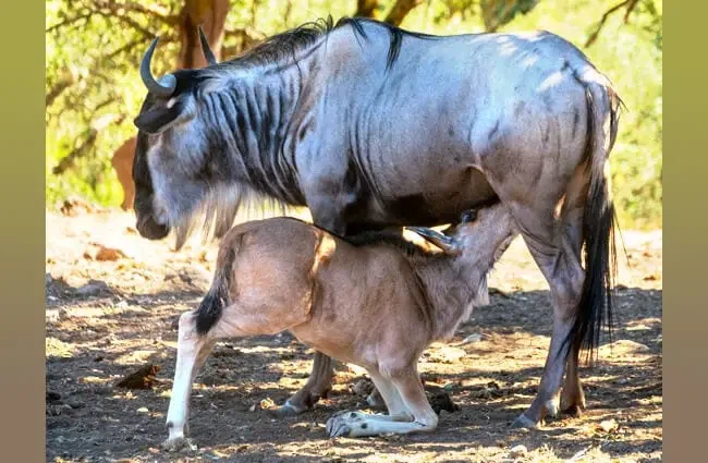 디씨 밖에서 써도 뭐라 안하는 누.jpg_3.webp