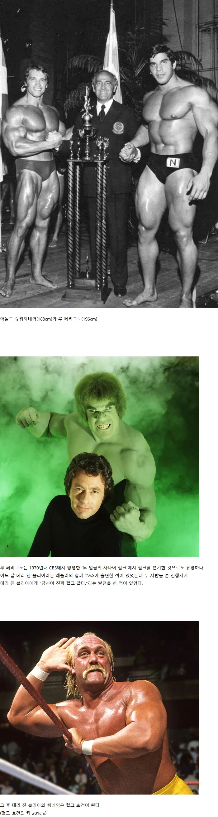 아놀드 슈워제네거를 왜소하게 만드는 사람_1.webp