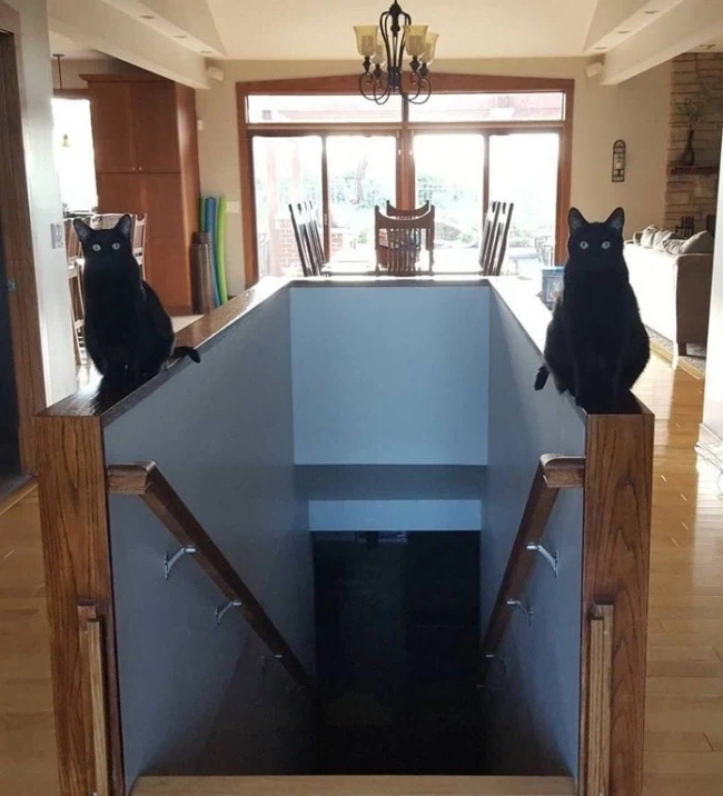 왼쪽이 세이브 오른쪽이 상점.jpg_1.webp