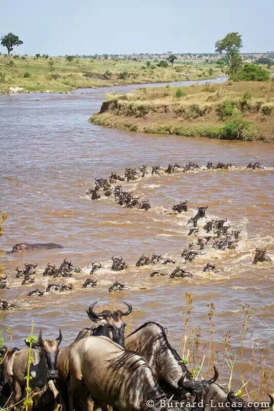 흠뻑 젖은 누님들 S라인 ㅗㅜㅑ_1.webp