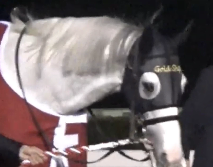 은퇴식에서도 말 안 들었던 골드쉽_2.webp