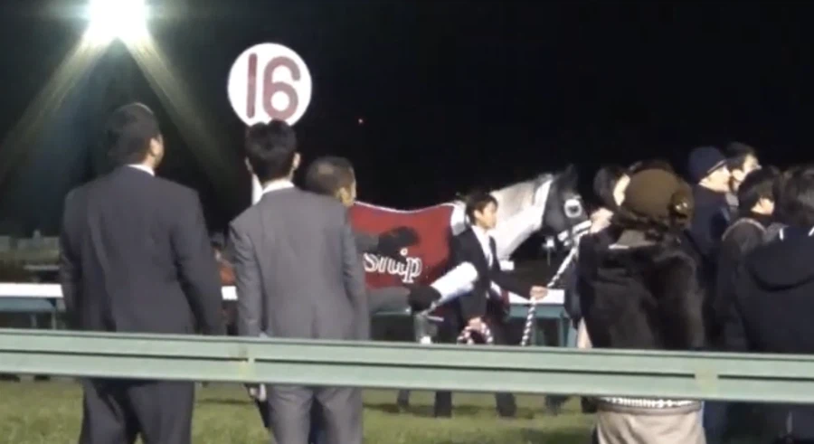 은퇴식에서도 말 안 들었던 골드쉽_3.webp