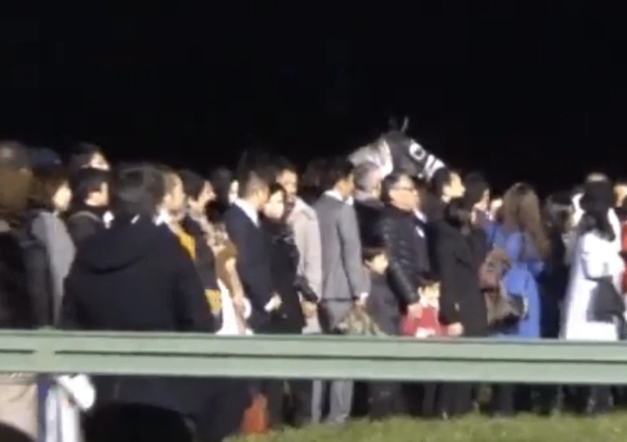 은퇴식에서도 말 안 들었던 골드쉽_4.webp