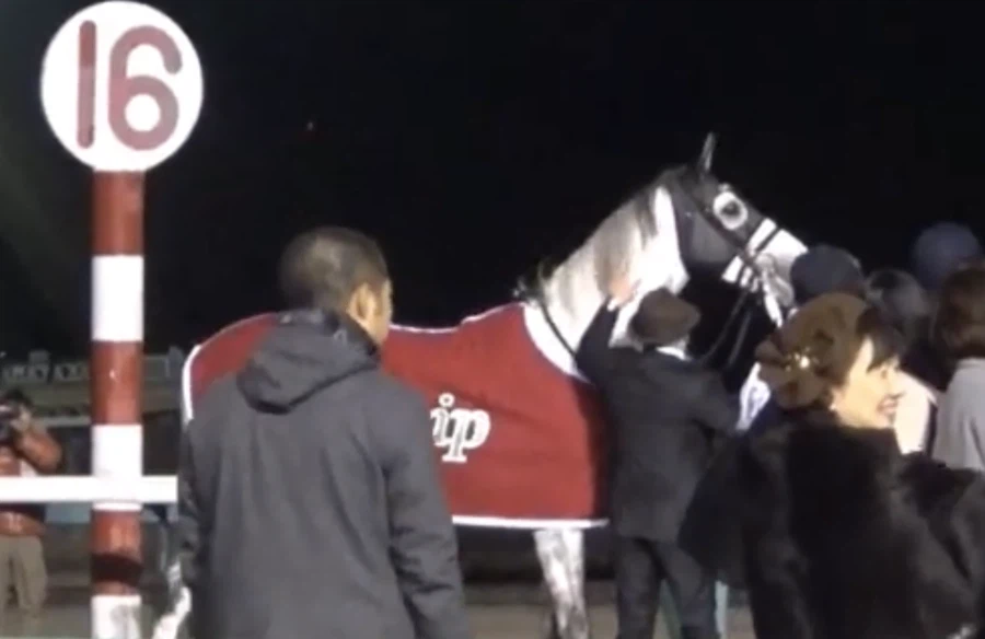 은퇴식에서도 말 안 들었던 골드쉽_8.webp