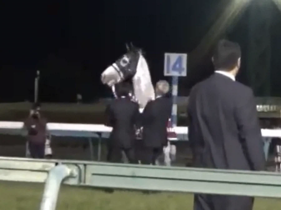 은퇴식에서도 말 안 들었던 골드쉽_9.webp