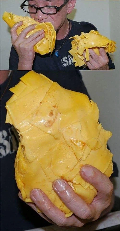 버거킹 치즈 1000장 버거_8.webp