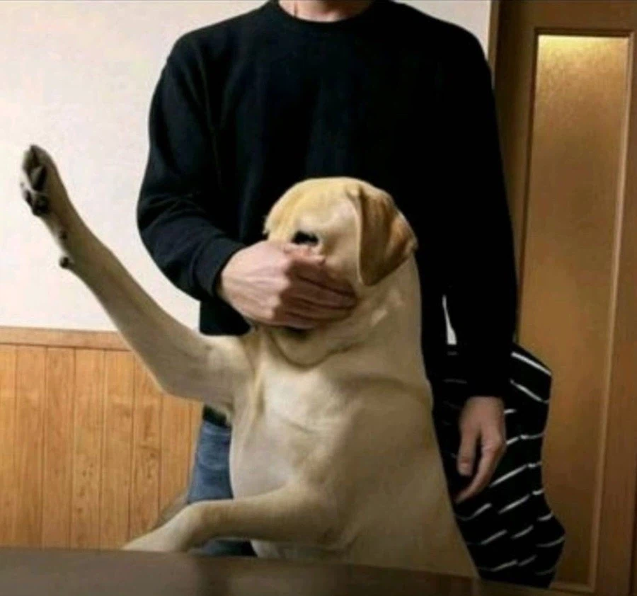 하일 ! 히틀 ..._1.webp