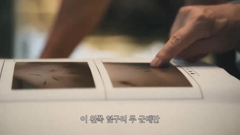 15년동안 억울하게 옥살이를 한 사형수의 최후_2.webp