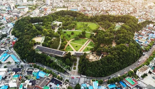 대구 달성군의 웃긴점_1.webp