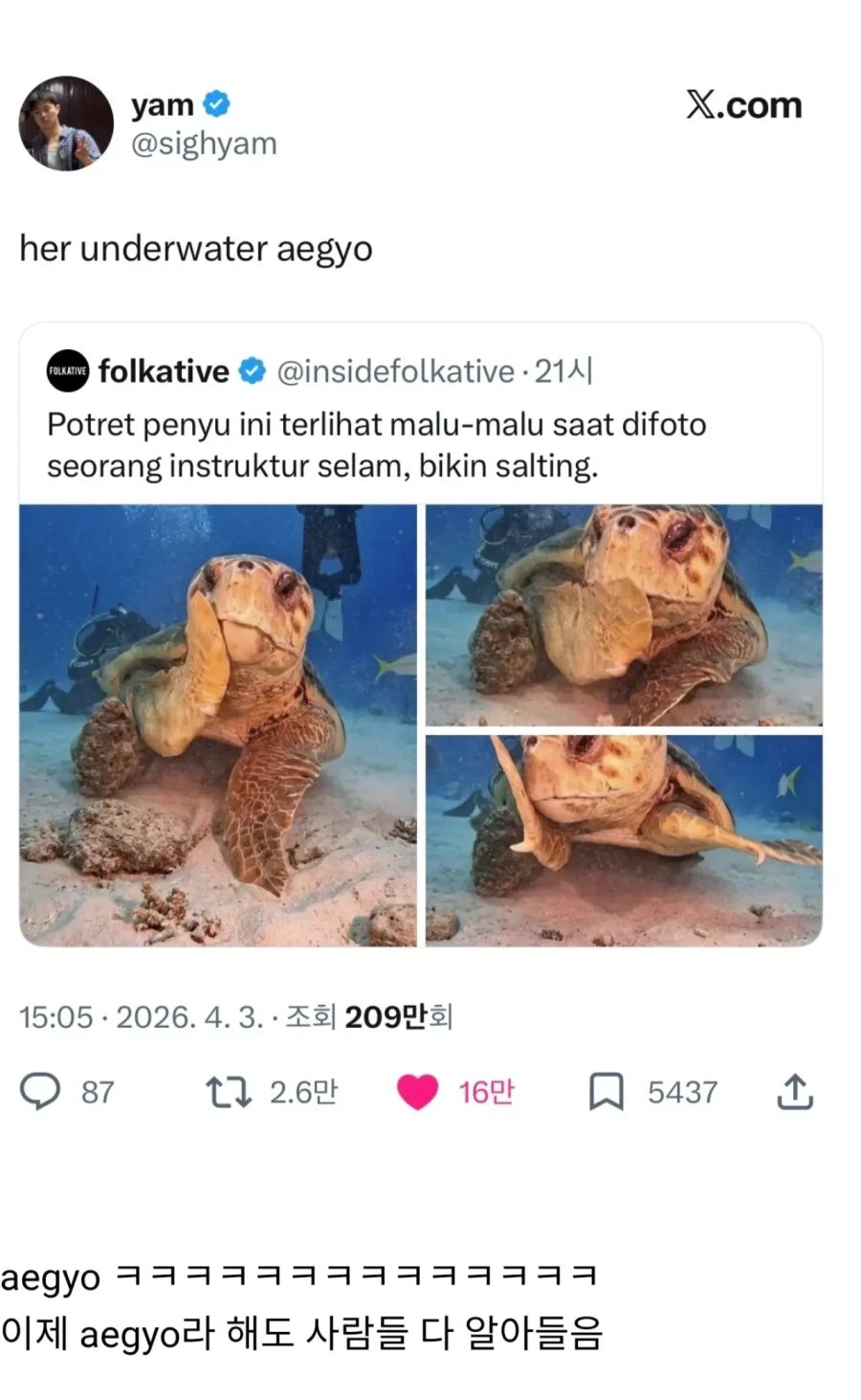 해외 반응 난리난 바다거북 사진...jpg_2.webp