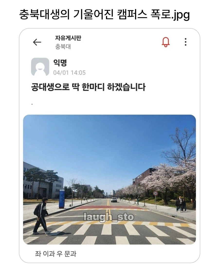 충북대 공대생의 기울어진 캠퍼스 폭로_1.webp