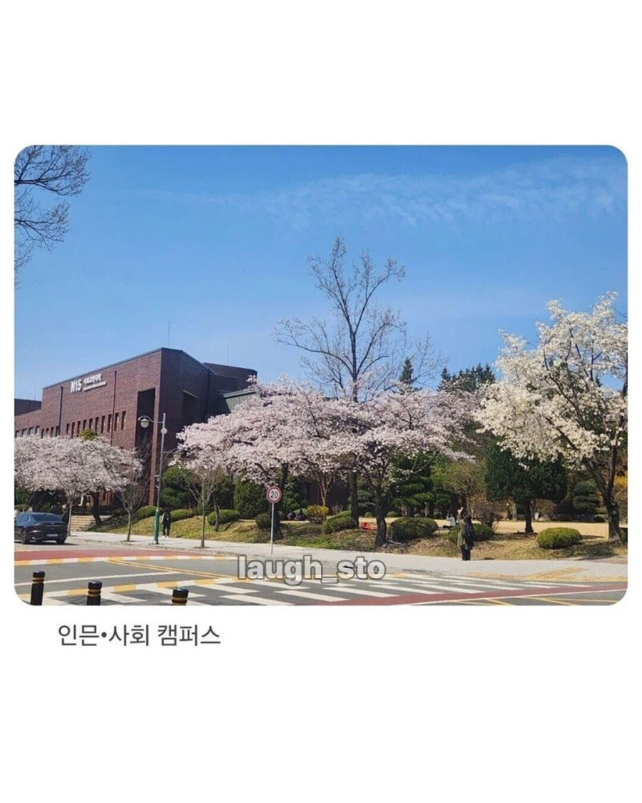 충북대 공대생의 기울어진 캠퍼스 폭로_2.webp