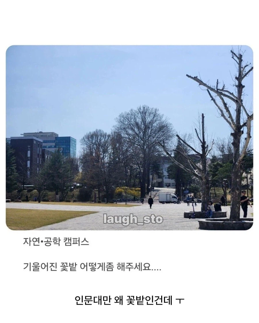 충북대 공대생의 기울어진 캠퍼스 폭로_3.webp