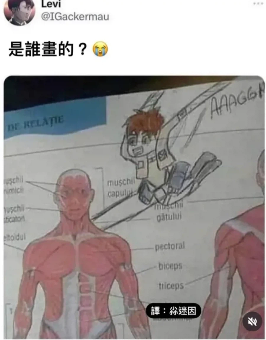 인체의 신비를 공부하다가 난입한_1.webp