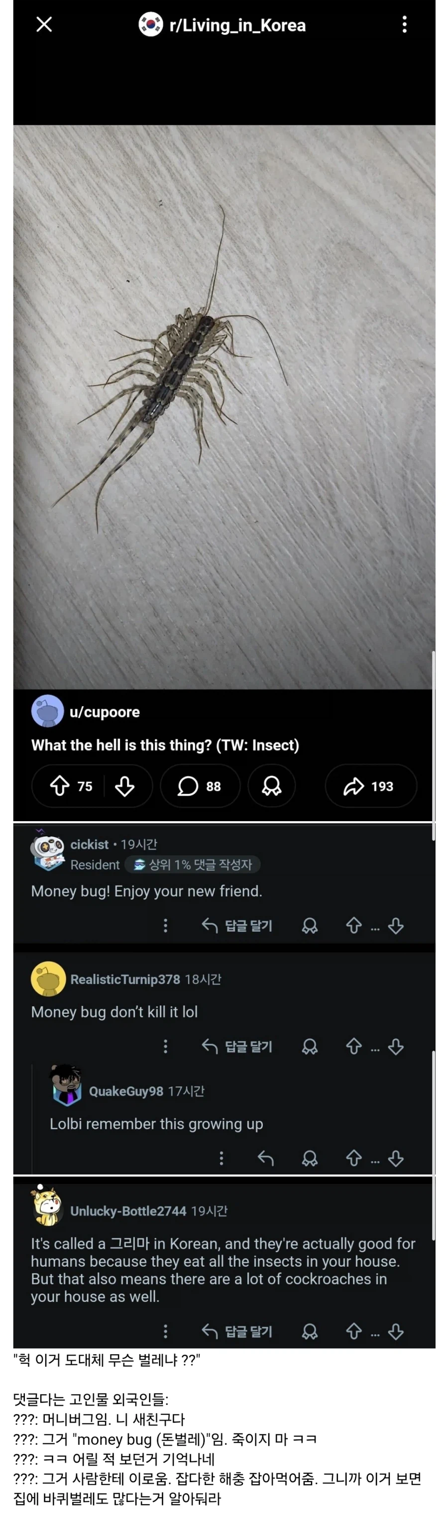 한국에서 돈벌레 처음 본 외국인_1.webp