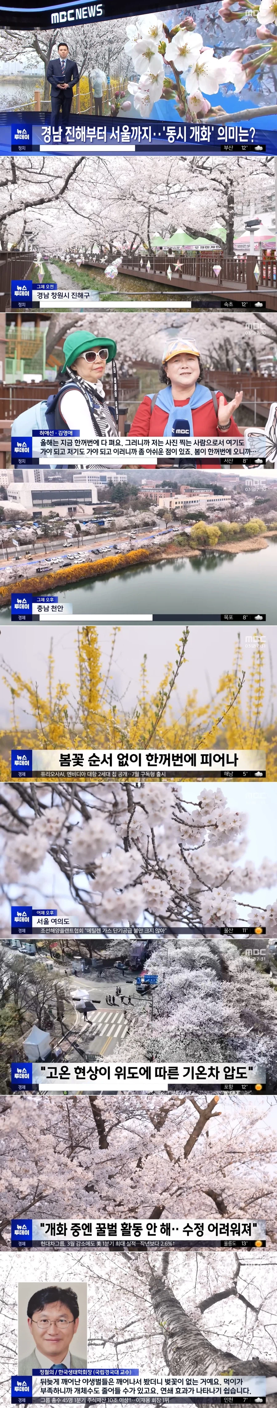 경남 진해부터 서울까지‥