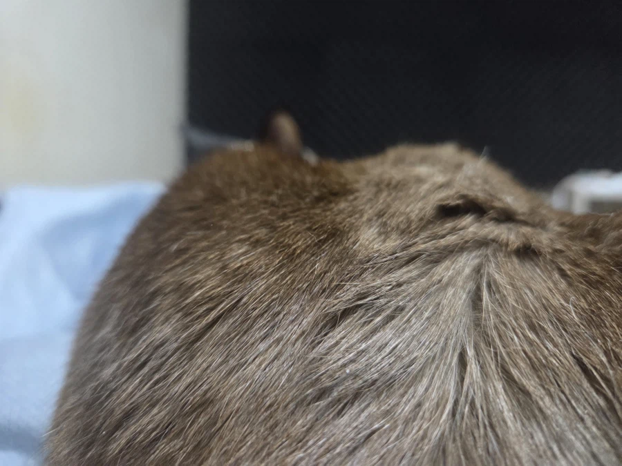 가위 눌려서 잠에서 깼다..._1.webp