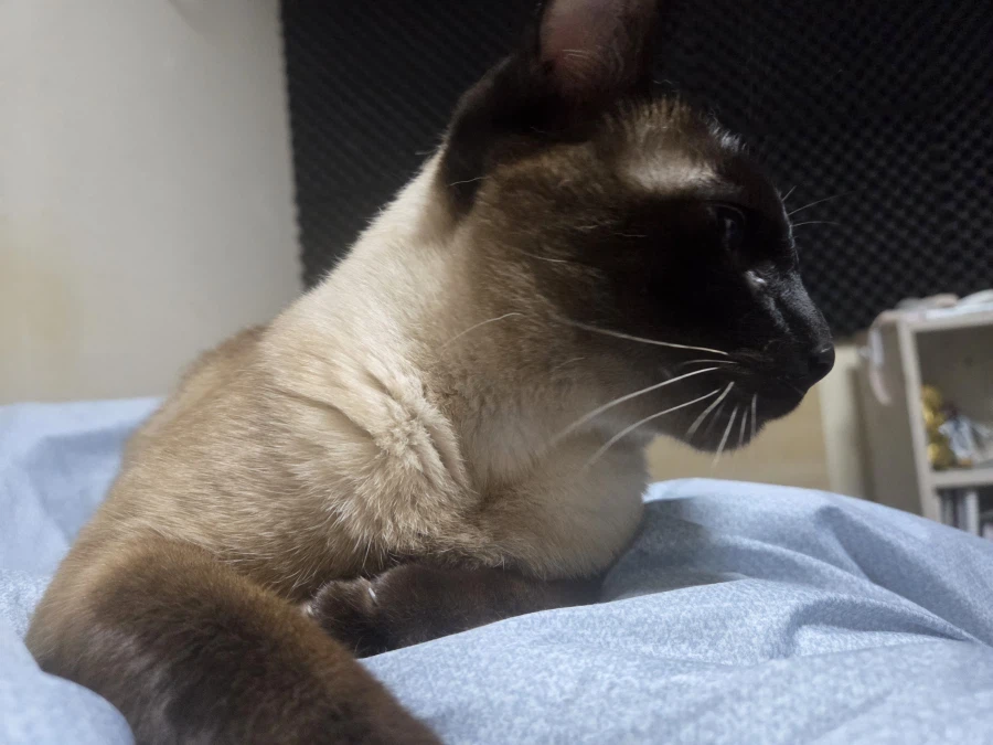 가위 눌려서 잠에서 깼다..._3.webp