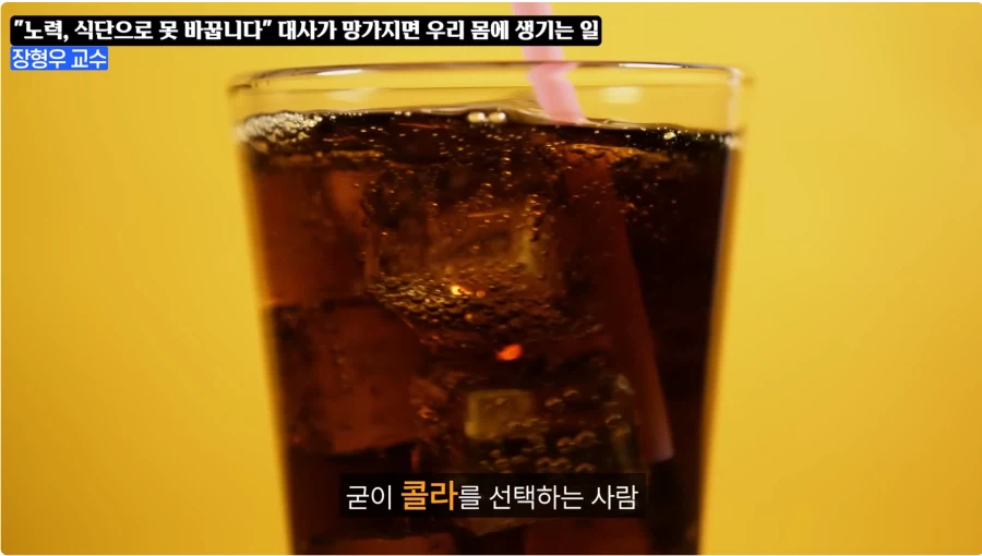 비만은 질병이라 치료제를 써라는 이유_34.webp