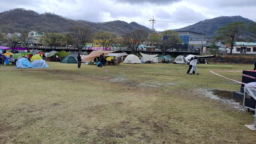 벚꽃 비박 페스티벌 사진 찍어왔음_3.webp