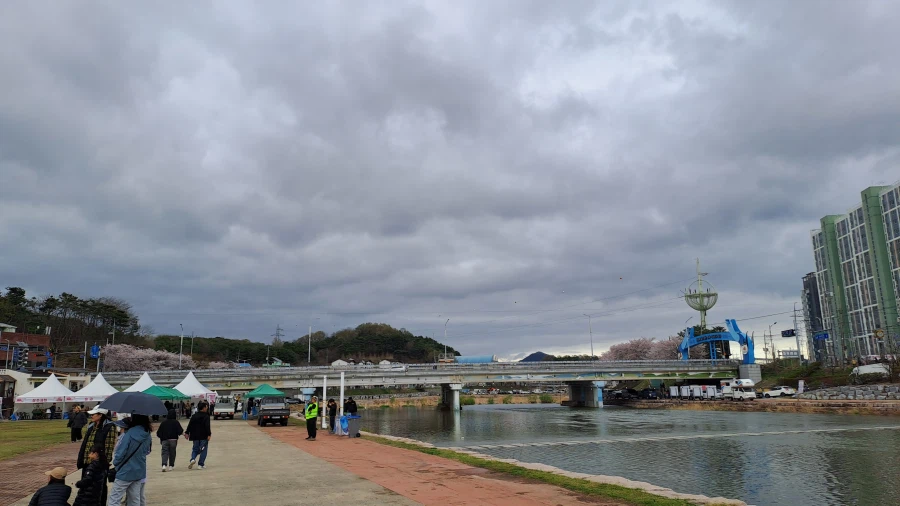 벚꽃 비박 페스티벌 사진 찍어왔음_4.webp