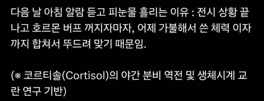 밤에 쌩쌩해지는 이유_2.webp