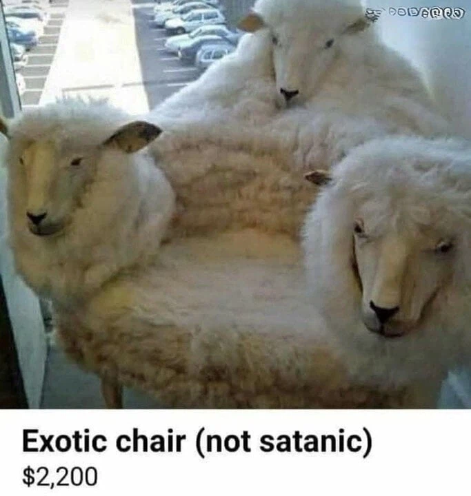 333만원짜리 양털 의자_1.webp