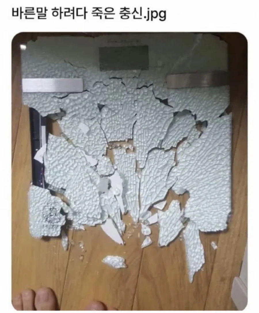 바른 말 하려다 죽은 충신_1.webp