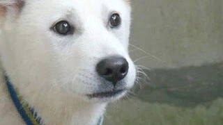 출근 시간까지 회사가면..._2.webp