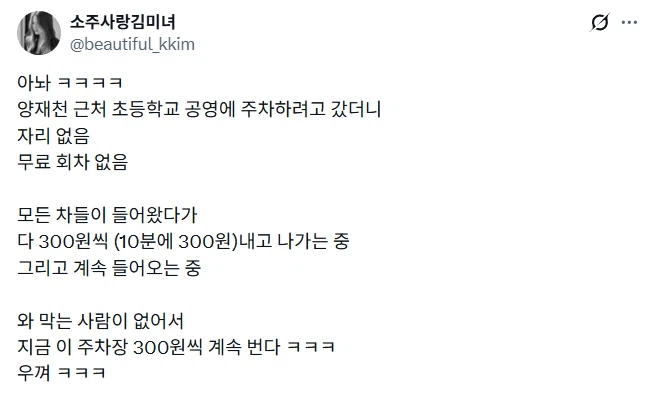 눈뜨고 코베이는 서울 주차장.jpg_1.webp