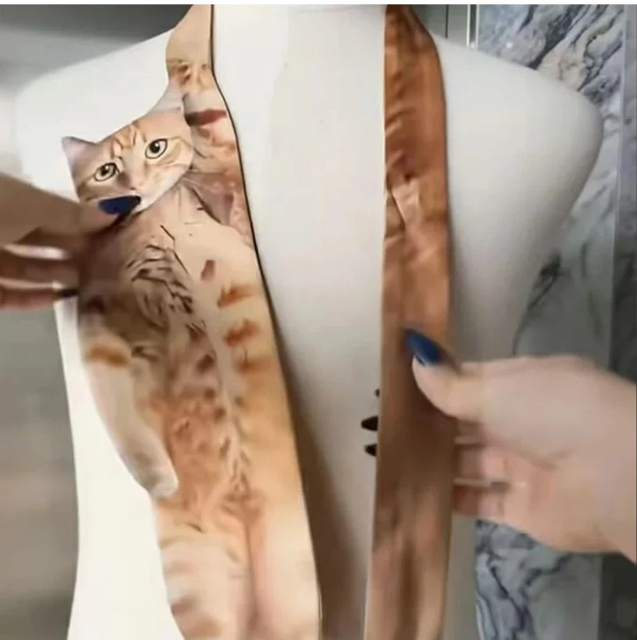 고양이 넥타이_2.webp